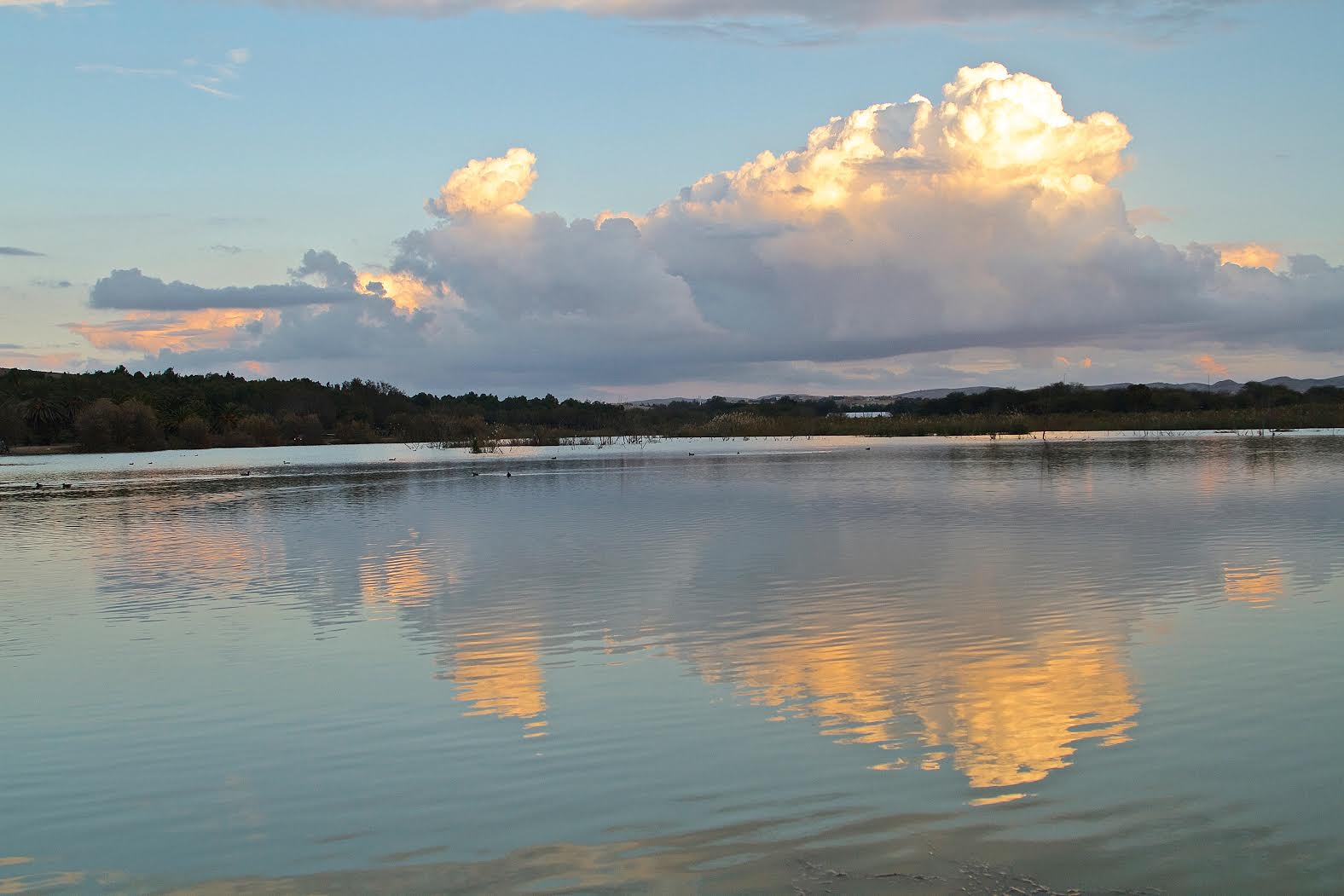 אגם ירוחם (צילום: ישי בן סימון)